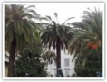 /album/galleria-fotografica/a185632-1451905477784-7792478-n-jpg/